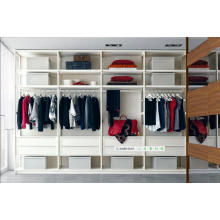 Dubai Deluxe Double Color Wardrobe Design